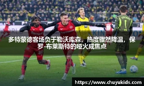 智博19